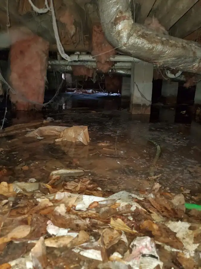 Crawl space flood assessment for Leak Detection & Repair in Palmetto Estates