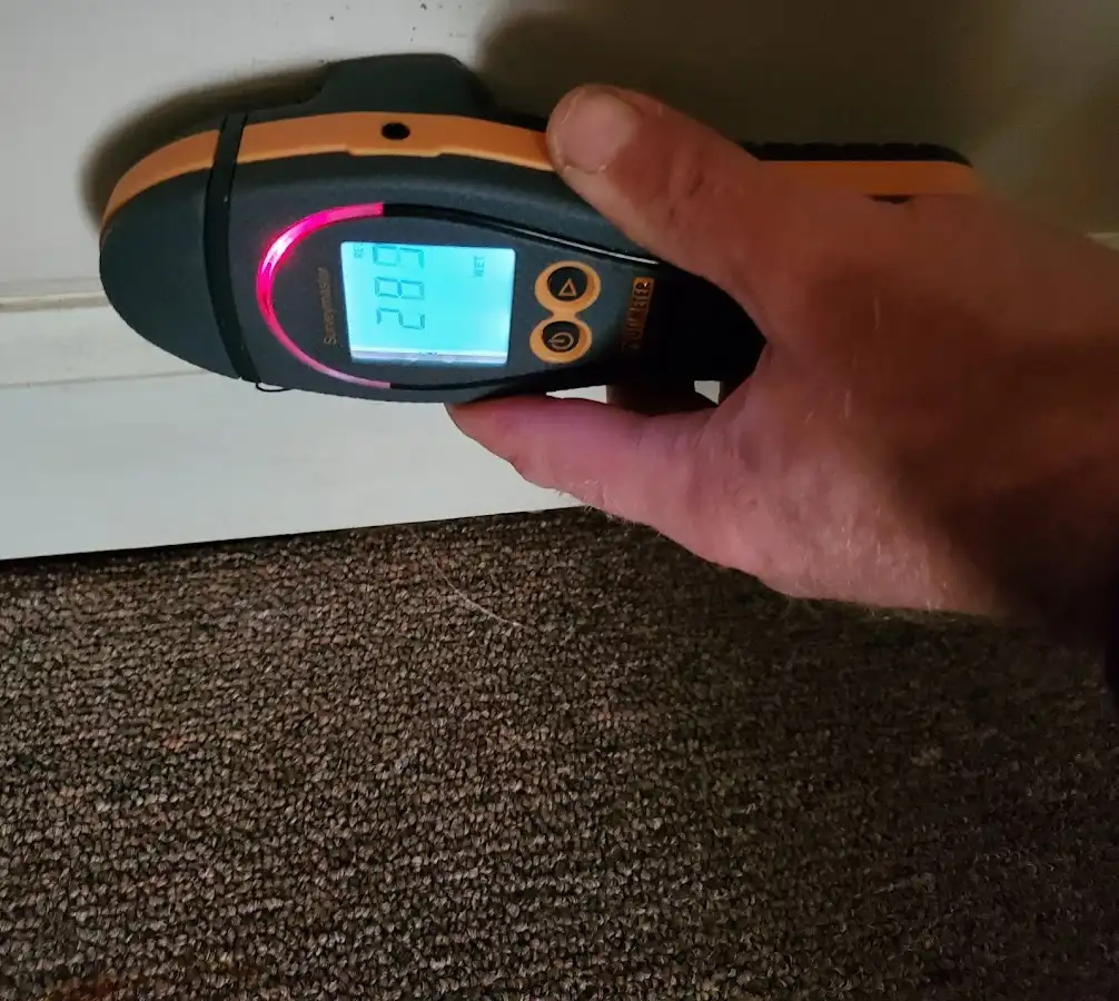 Moisture detection at baseboard during Mold Inspection & Testing in Palmetto Estates