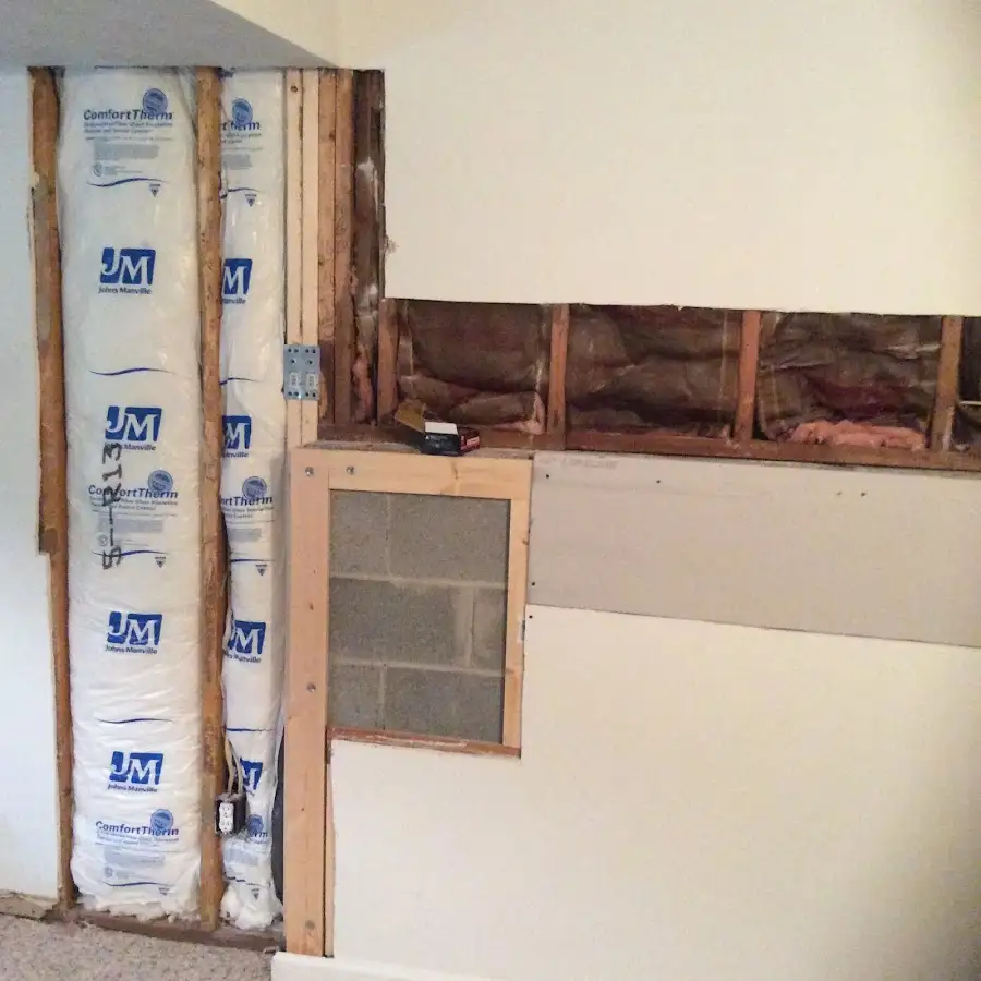 Wall insulation replacement during Basement Flood Cleanup in Palmetto Estates